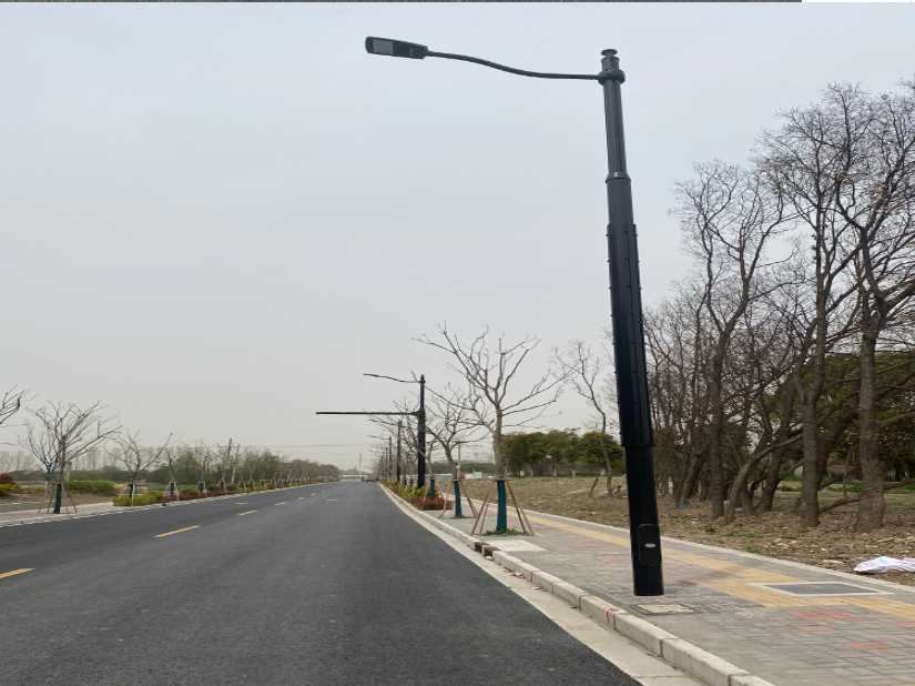 呼中区上海综合杆 太阳能路灯工程